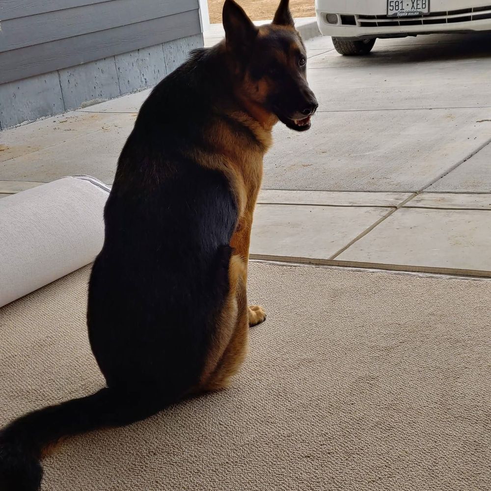 Meet your Posher, Kelly